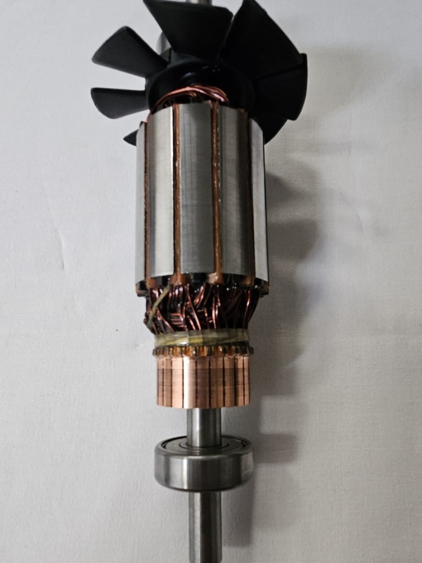Inducido motor Raimondi