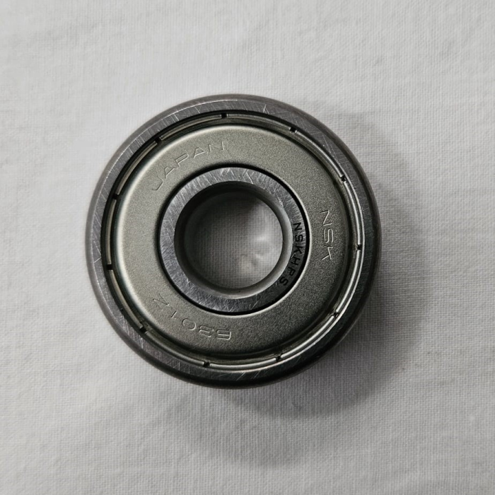 Rodamiento eje motor Raimondi Mastino/Terranova