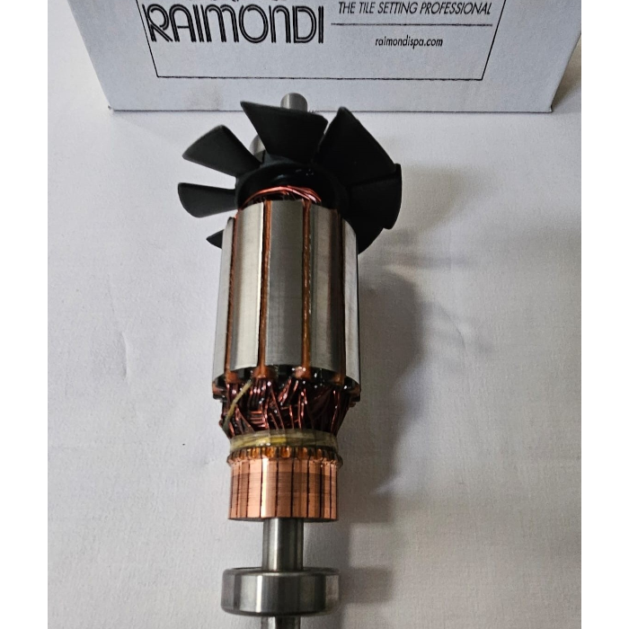 Inducido motor Raimondi