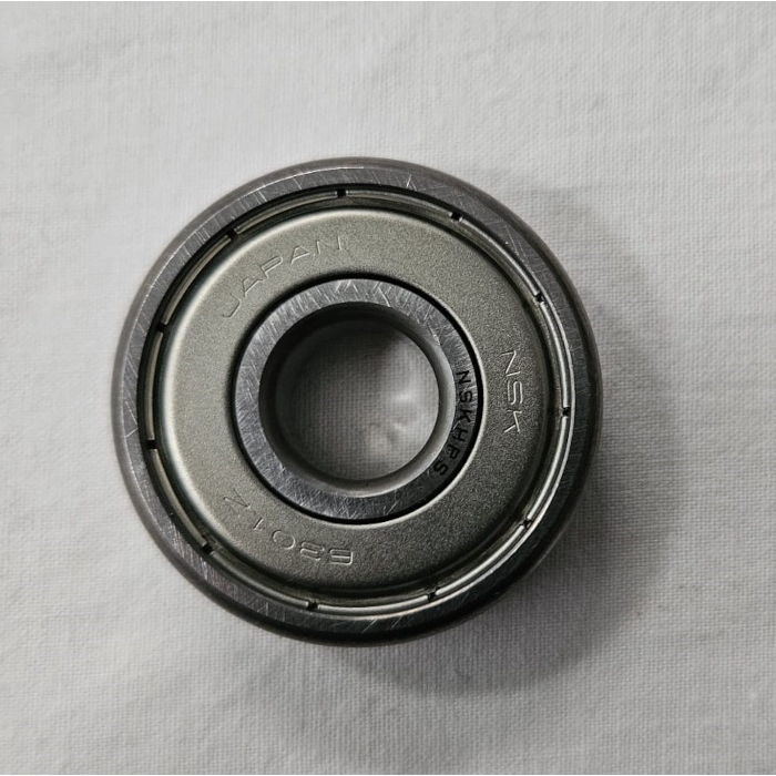 Rodamiento eje motor Raimondi Mastino/Terranova 